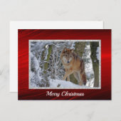 Wildlife Wolf Snow - Kerstmis Briefkaart (Voorkant / Achterkant)