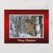 Wildlife Wolf Snow - Kerstmis Briefkaart (Voorkant)