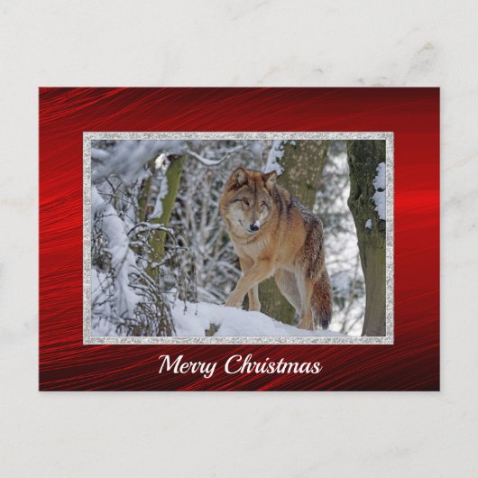 Wildlife Wolf Snow - Kerstmis Briefkaart (Voorkant)