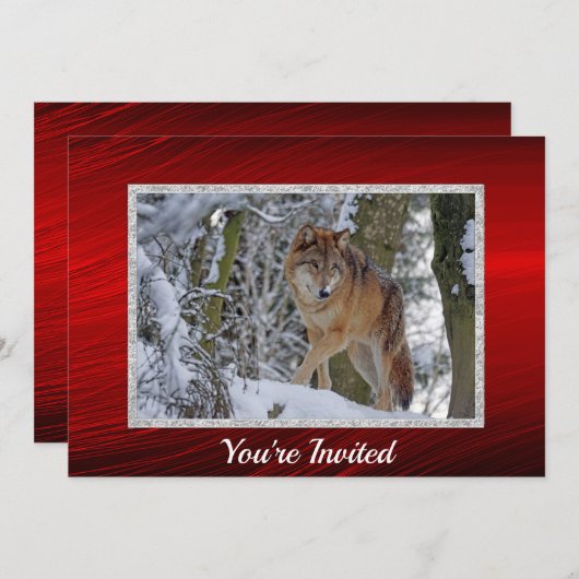 Wildlife Wolf Snow - Kerstmis Kaart (Voorkant / Achterkant)