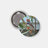 Wildlife Zebra Finch Foto Magneet (Voorkant / Achterkant)