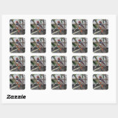 Wildlife Zebra Finch Foto Vierkante Sticker (Vel)