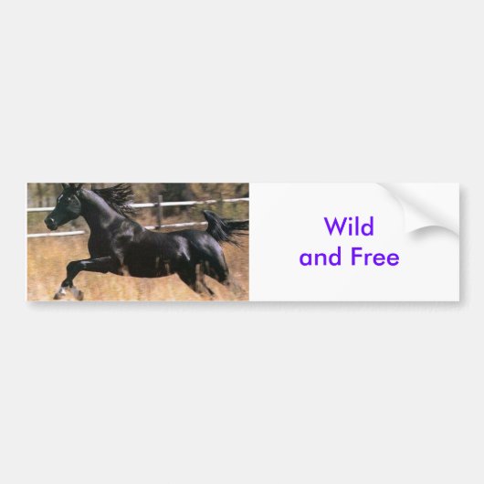 Wild'n Free Bumpersticker (Voorkant)