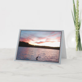 Wildness:  Een beschaving buiten ons Kaart