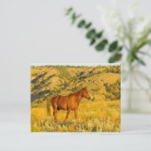 Wildpaard-sanctuarium. Briefkaart (Staand voorkant)