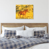 Wildpaard-sanctuarium. Canvas Afdruk (Insitu (Slaapkamer))
