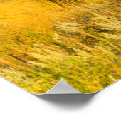 Wildpaard-sanctuarium. Poster (Hoek)