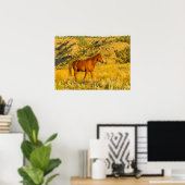 Wildpaard-sanctuarium. Poster (Thuiskantoor)