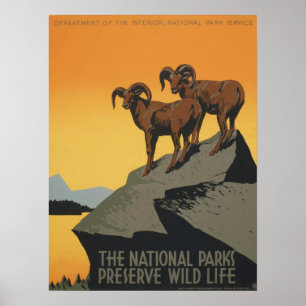  wildparken met WPA Poster