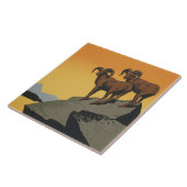  wildparken met WPA Tegeltje (Zijkant)