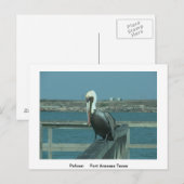 Wildpostkaart Briefkaart (Voorkant / Achterkant)