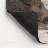 Wildschweine - Wild Hog Muismat (Hoek)