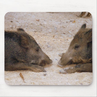 Wildschweine - Wild Hog Muismat