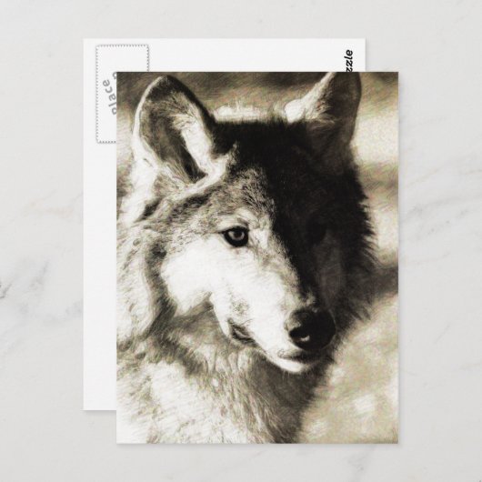    WildSeries 19 Briefkaart (Voorkant / Achterkant)