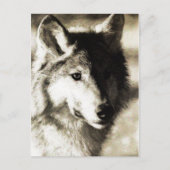    WildSeries 19 Briefkaart (Voorkant)