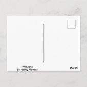 Wildsong Briefkaart (Achterkant)
