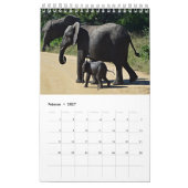 Wildtiere als Kalender (Feb 2027)