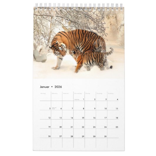 Wildtiere als Kalender (Jan 2026)
