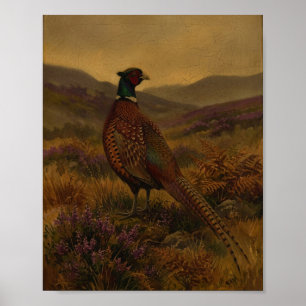 Wildvogel Fazant II Vintage Schilderij Poster