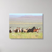 WildWest Mustangs Ingewikkeld Canvas (Voorkant)