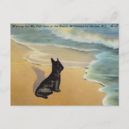  Wildwood-by-the-Zee, New Jersey Briefkaart (Voorkant)