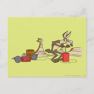 WILE E. COYOTE™ Acme Producten 11 2 Briefkaart