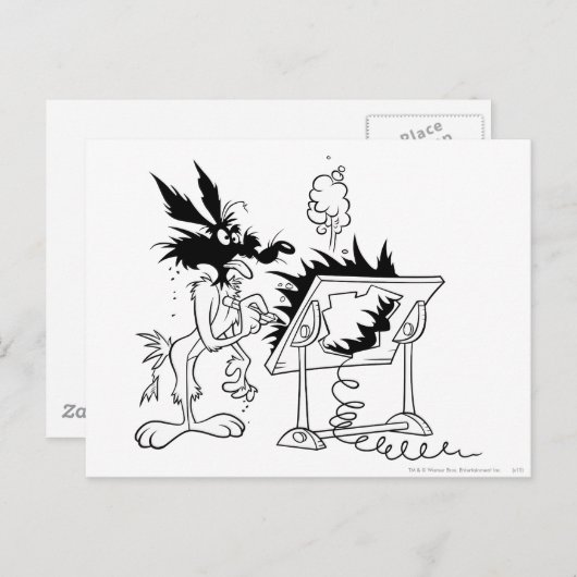 WILE E. COYOTE™ Acme Producten 6 Briefkaart (Voorkant / Achterkant)