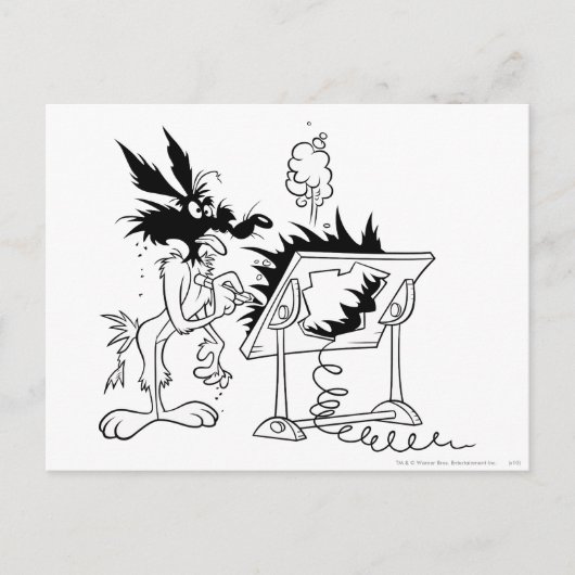 WILE E. COYOTE™ Acme Producten 6 Briefkaart (Voorkant)