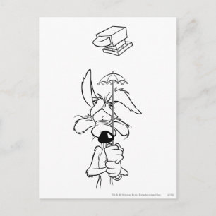 WILE E. COYOTE™ Acme Producten Briefkaart