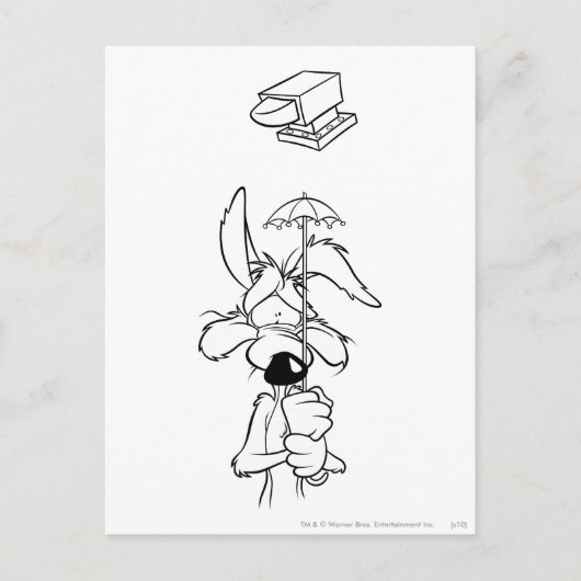 WILE E. COYOTE™ Acme Producten Briefkaart (Voorkant)
