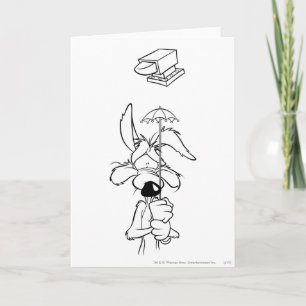 WILE E. COYOTE™ Acme Producten Kaart