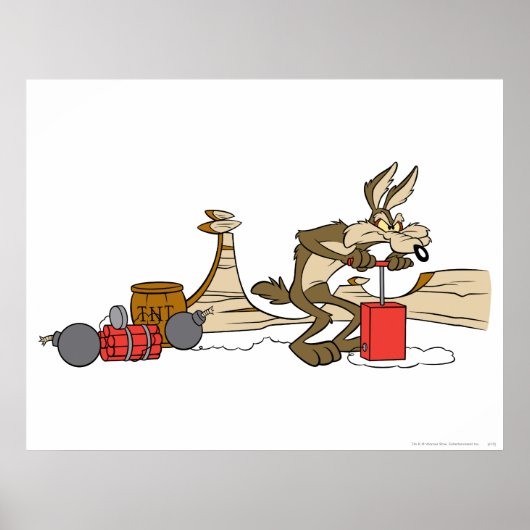 Wile E Coyote Acme Products 11 2 Poster (Voorkant)