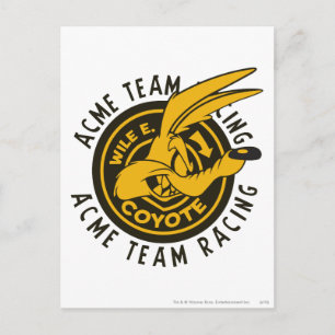 WILE E. COYOTE™ Acme Team Racing Briefkaart