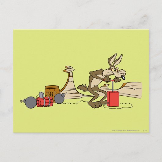 WILE E. COYOTE™ ACME TNT BRIEFKAART (Voorkant)