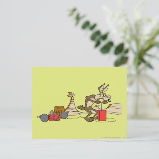 WILE E. COYOTE™ ACME TNT BRIEFKAART (Staand voorkant)