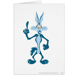 WILE E. COYOTE™ Blauw Aha!