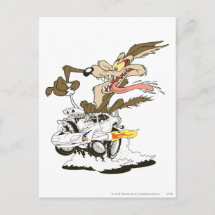 WILE E. COYOTE™ Crazy Driver Briefkaart