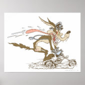 Wile E. Coyote Cycle Racer Poster (Voorkant)