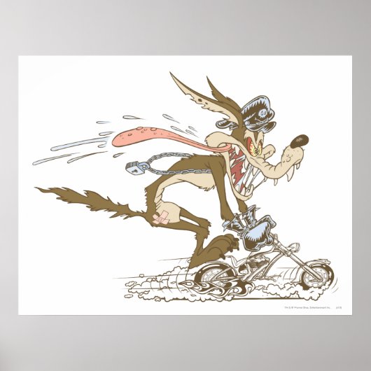 Wile E. Coyote Cycle Racer Poster (Voorkant)