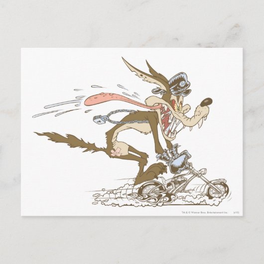 WILE E. COYOTE™ Cyclusracer Briefkaart (Voorkant)