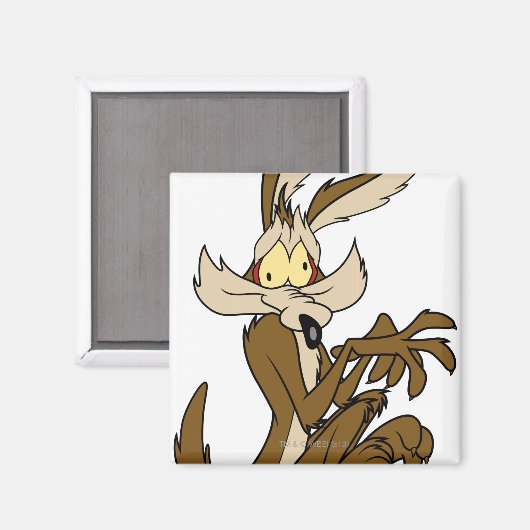 Wile E. Coyote Derp Magneet (Voorkant / Achterkant)