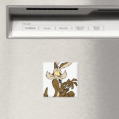 Wile E. Coyote Derp Magneet (Insitu (Vaatwasser))