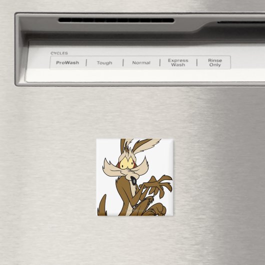 Wile E. Coyote Derp Magneet (Insitu (Vaatwasser))