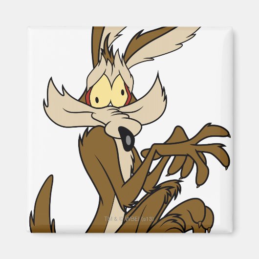 Wile E. Coyote Derp Magneet (Voorkant)
