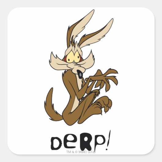 WILE E. COYOTE™ Derp Vierkante Sticker (Voorkant)