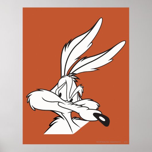 Wile E. Coyote die sluierig kijkt Poster (Voorkant)
