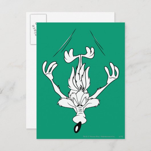 Wile E. Coyote Dive Bomb. Briefkaart (Voorkant / Achterkant)