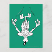 Wile E. Coyote Dive Bomb. Briefkaart (Voorkant)