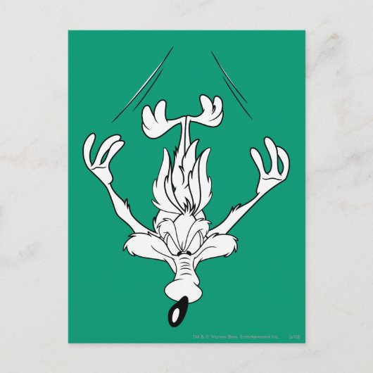 Wile E. Coyote Dive Bomb. Briefkaart (Voorkant)