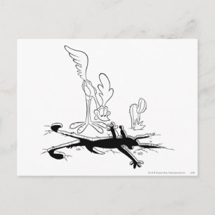 WILE E. COYOTE™ en ROAD RUNNER™ Acme Producten 3 Briefkaart